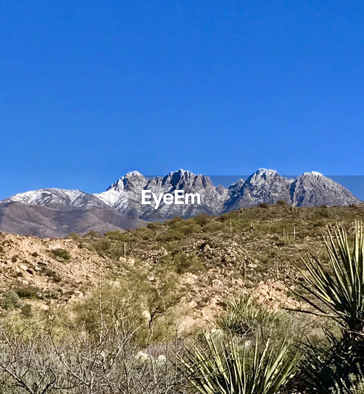 LANDSCAPE AGAINST CLEAR BLUE SKY