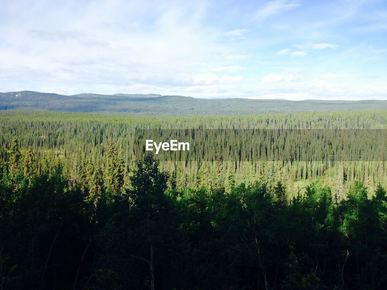 SCENIC VIEW OF LAND AND TREES AGAINST SKY