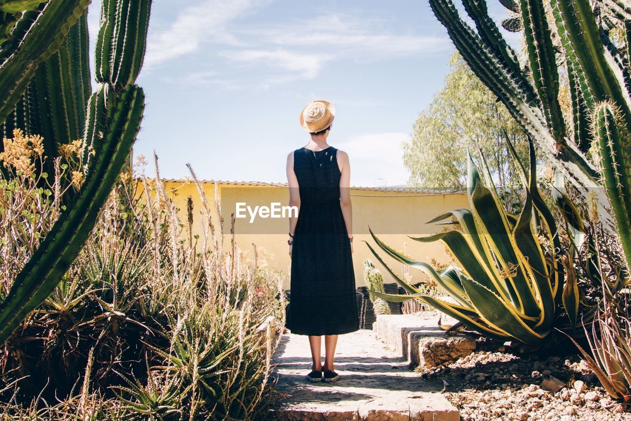 Rear view of a woman standing against trees