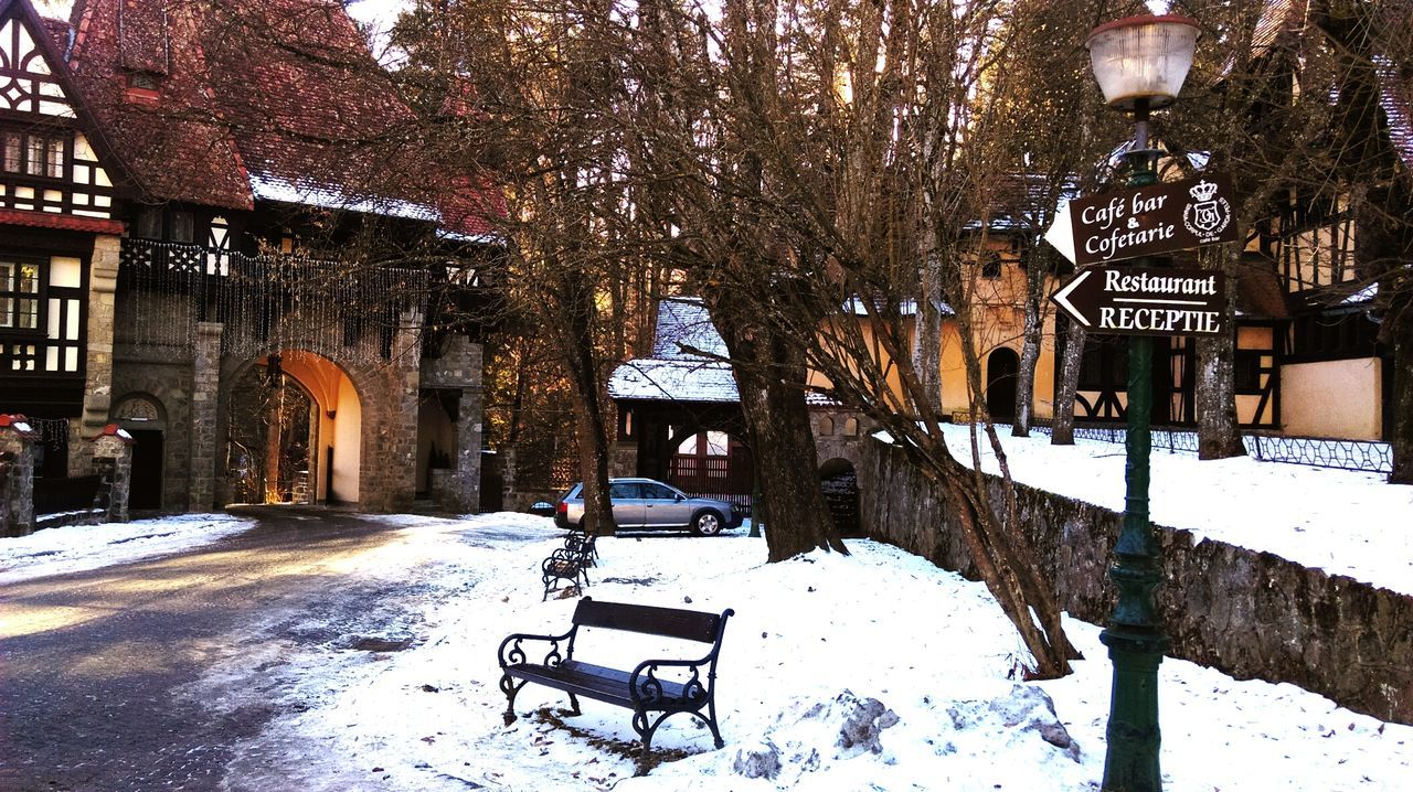 VIEW OF SNOW COVERED TREES