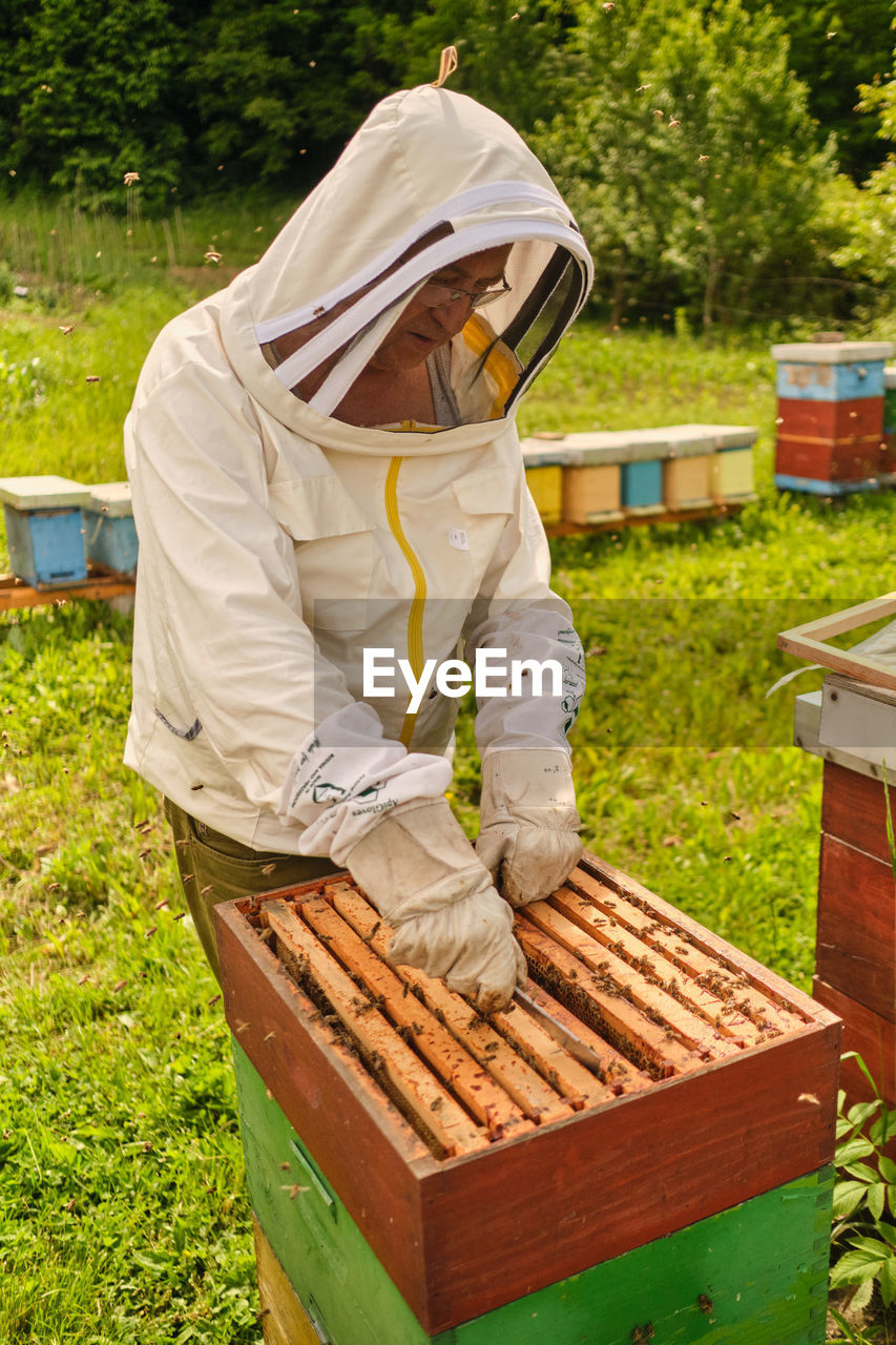 Man making honey