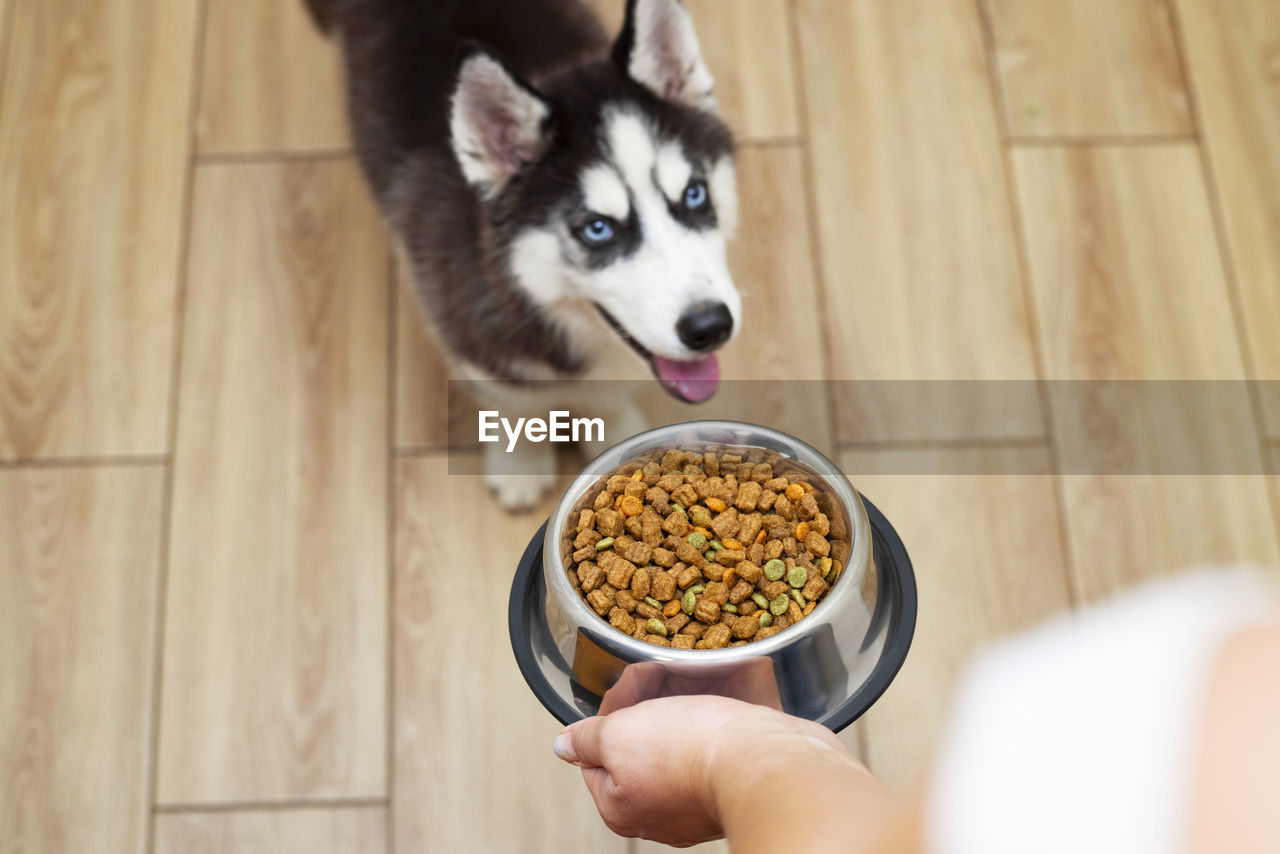 cropped hand of woman holding food