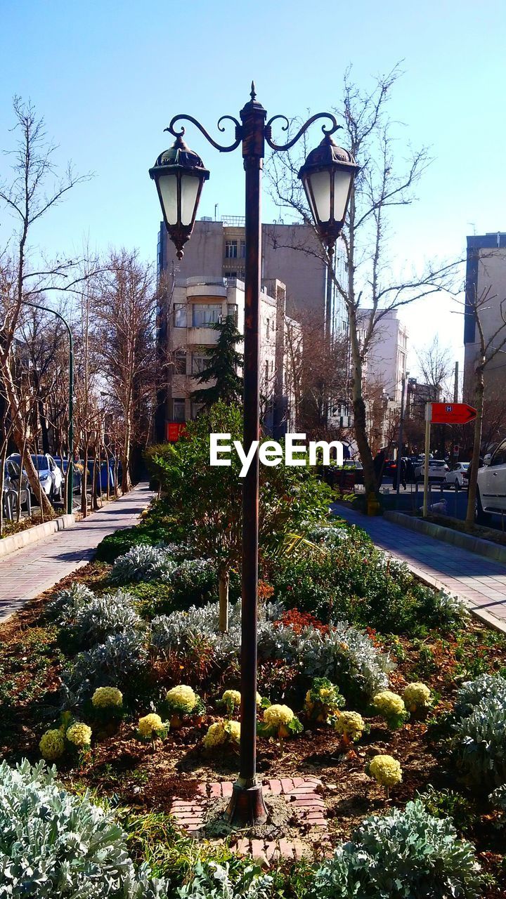 Street light amidst plants by building against clear sky