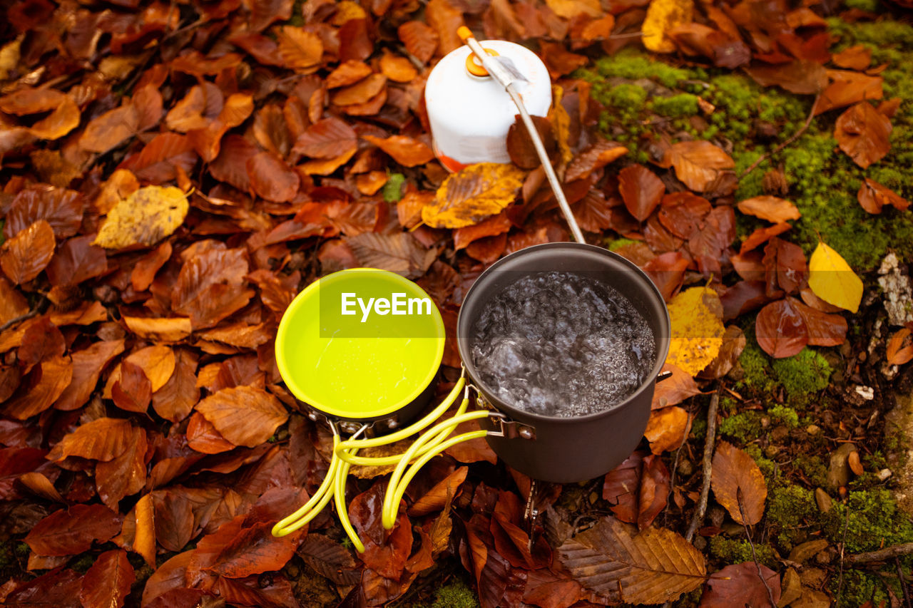 HIGH ANGLE VIEW OF DRY LEAVES ON GROUND