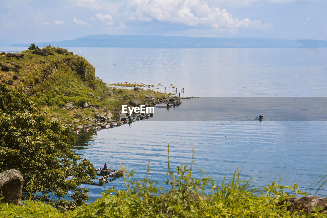 SCENIC VIEW OF SEA AND PLANTS