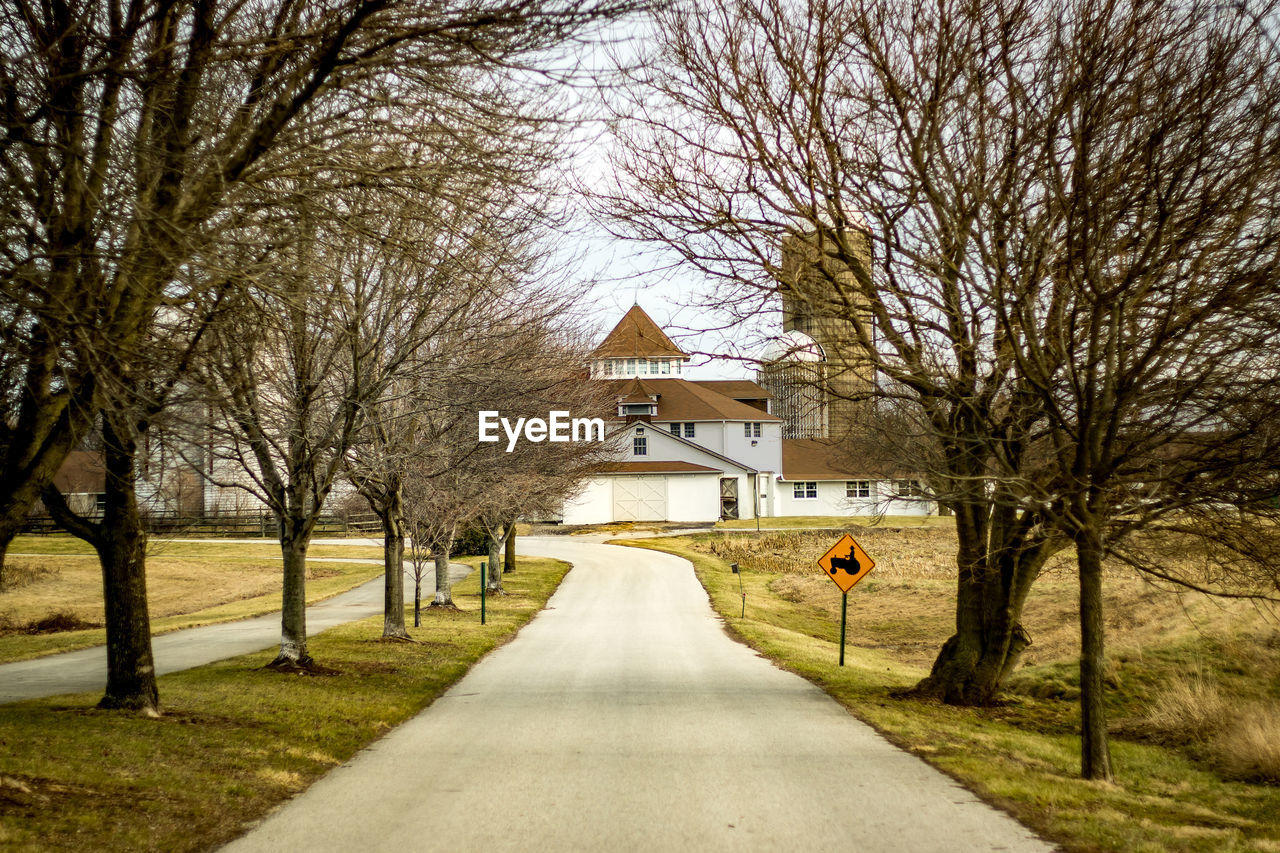 Empty country road along trees