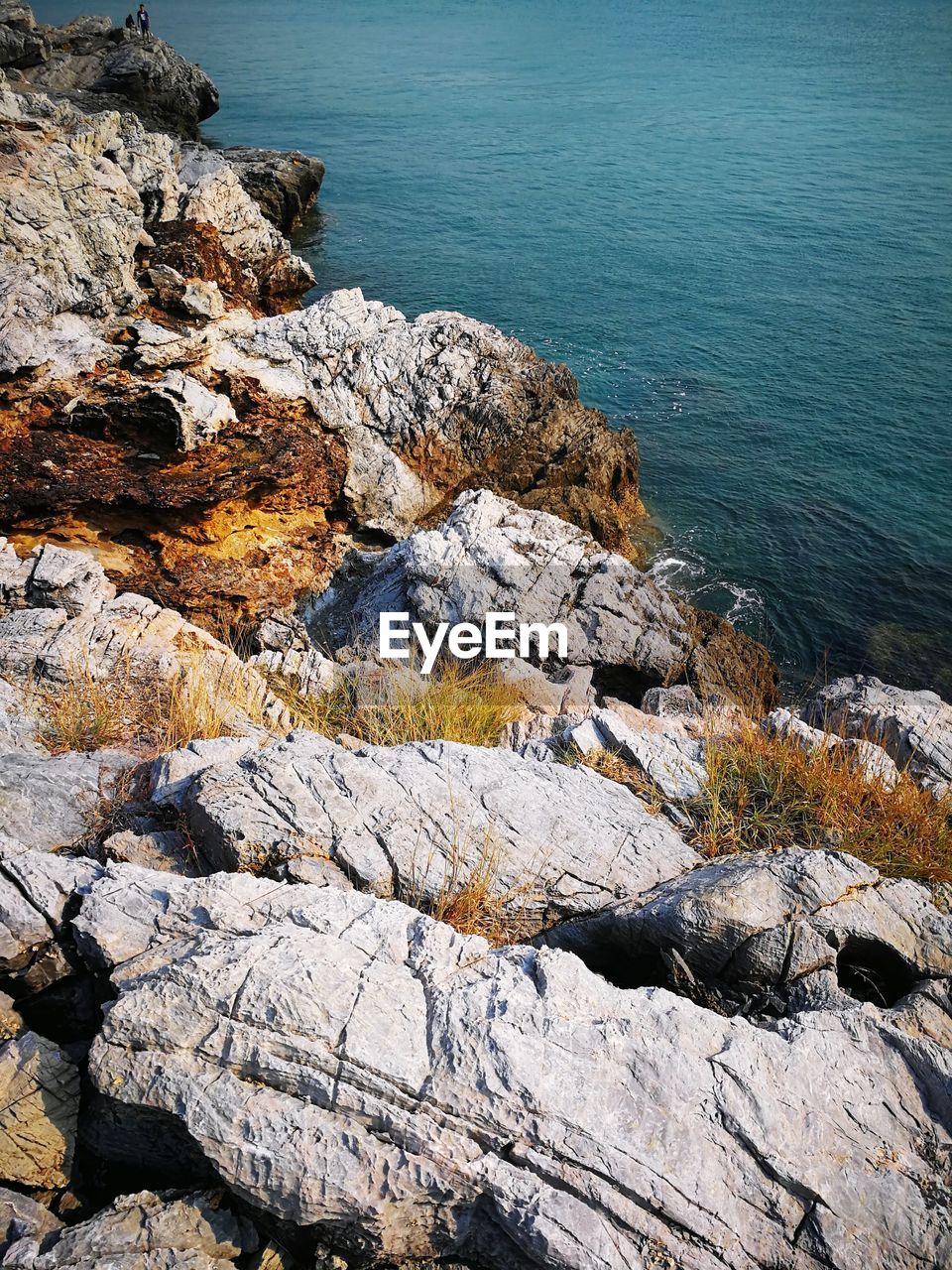 High angle view of rocks on beach