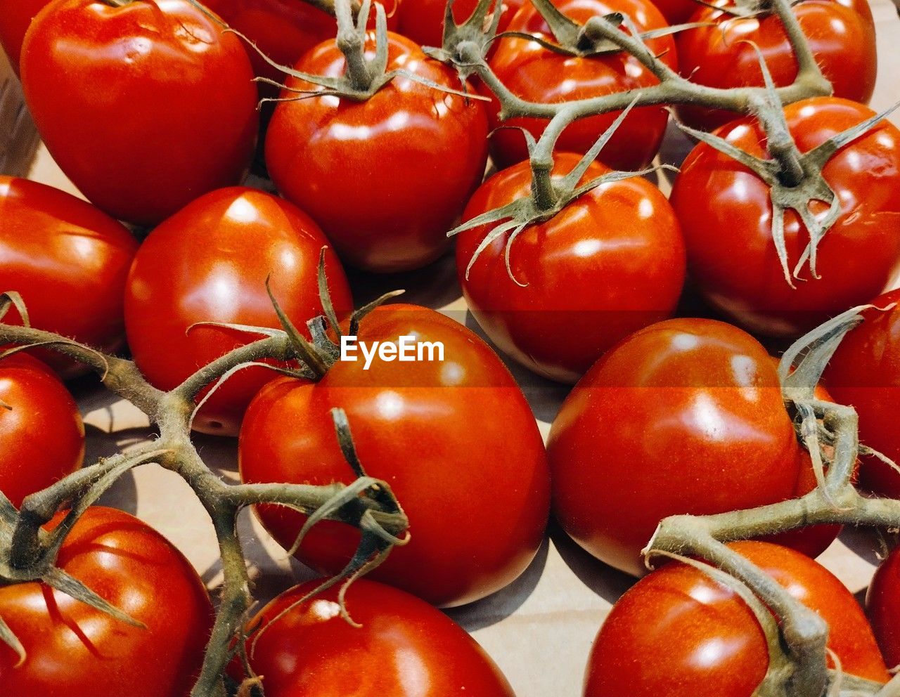 food, food and drink, tomato, healthy eating, freshness, wellbeing, fruit, red, vegetable, plant, produce, large group of objects, no people, close-up, plum tomato, still life, abundance, ripe, raw food, group of objects, full frame, organic, backgrounds, indoors