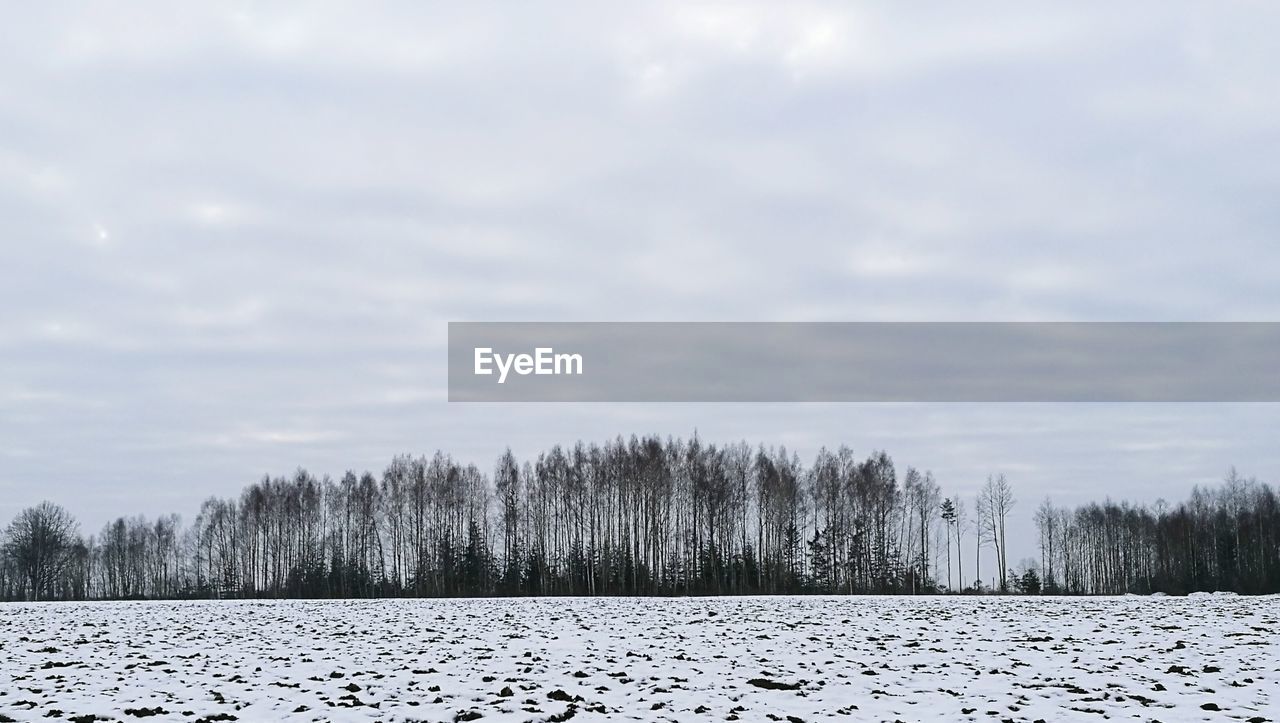 Bare trees on snow covered landscape against sky