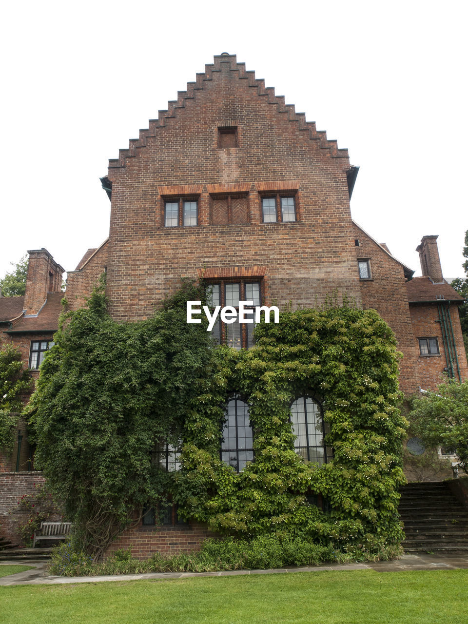 LOW ANGLE VIEW OF IVY ON BUILDING AGAINST SKY