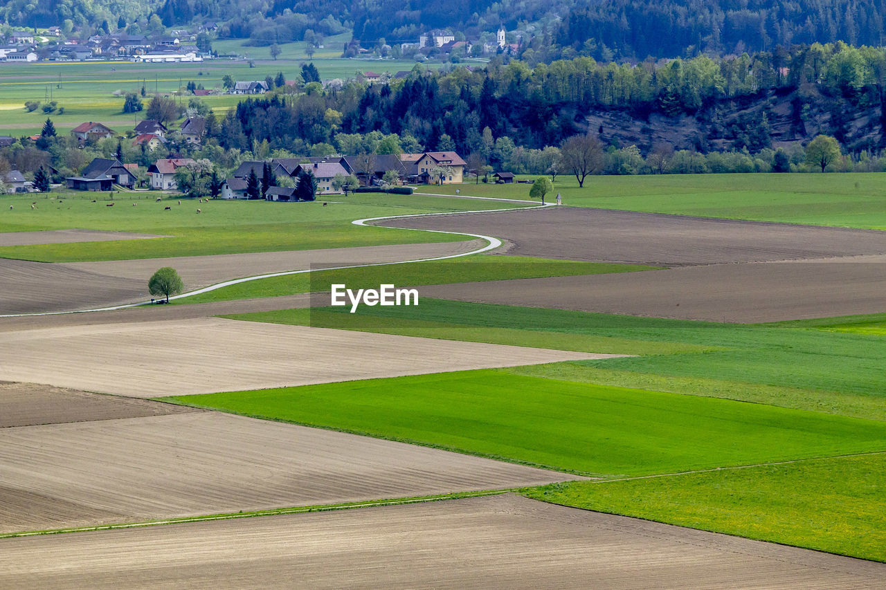 Scenic view of field