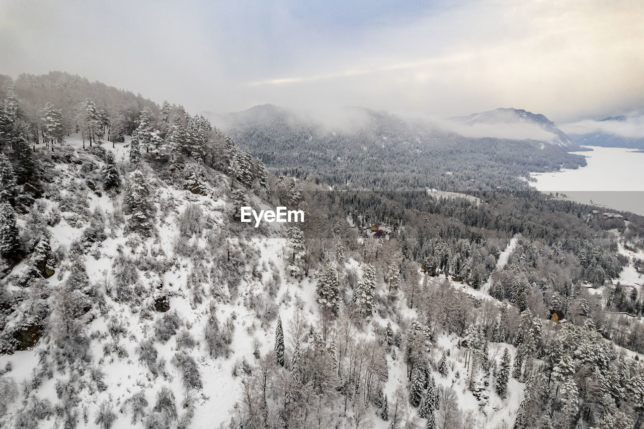 environment, winter, scenics - nature, snow, mountain, landscape, cold temperature, beauty in nature, tree, sky, nature, plant, mountain range, forest, cloud, land, fog, coniferous tree, pinaceae, pine tree, travel, no people, tranquility, travel destinations, ridge, pine woodland, tranquil scene, non-urban scene, tourism, outdoors, woodland, panoramic, day, valley, snowcapped mountain, wilderness, frozen, idyllic, mountain peak, plateau