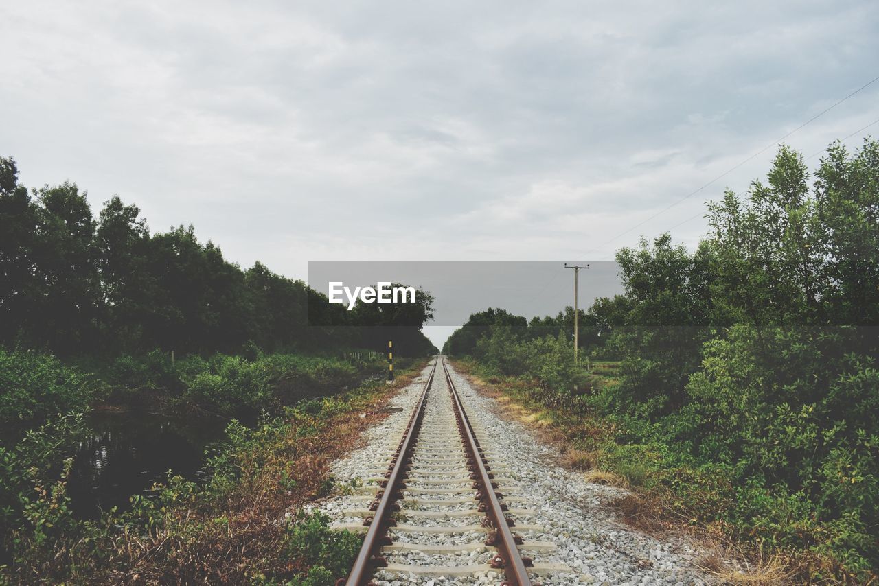 Railroad track amidst trees against sky