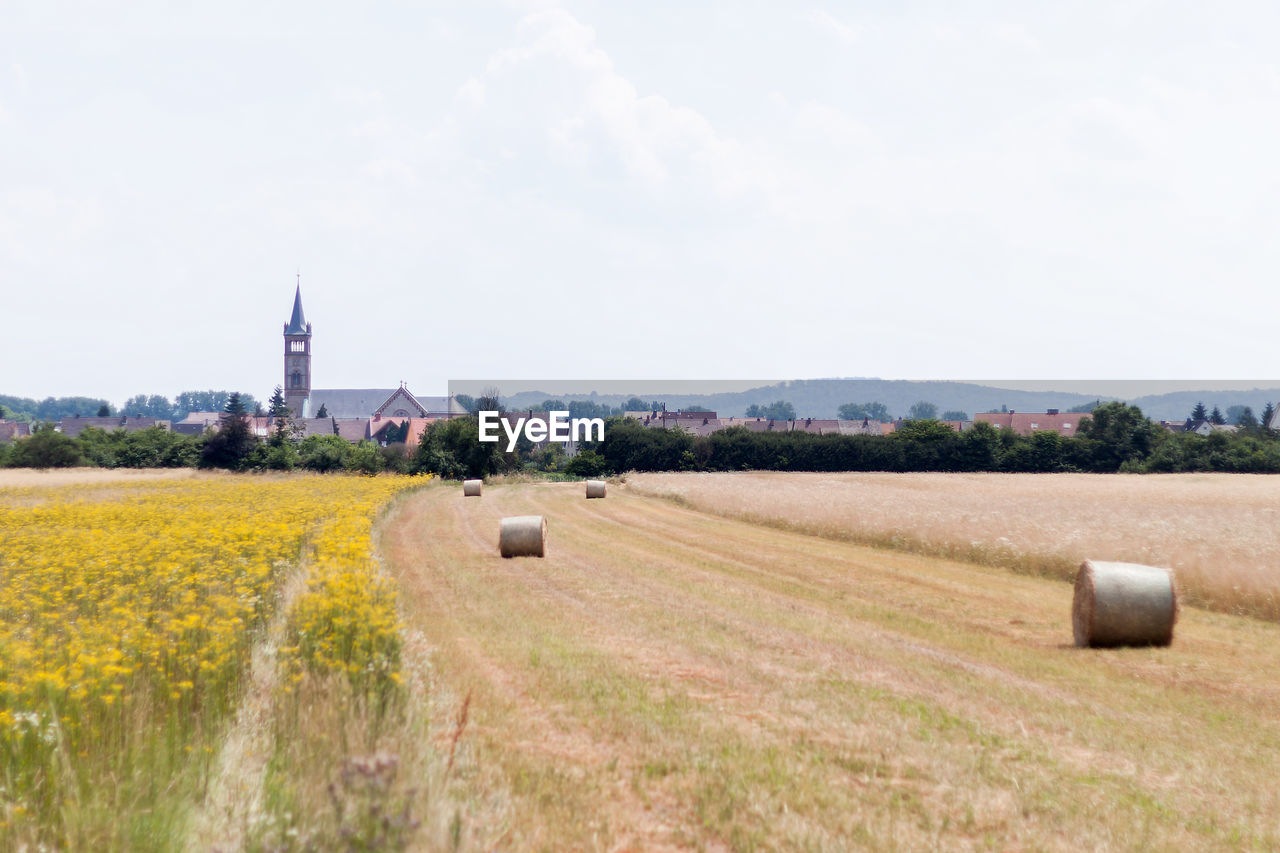 Rural landscape against cloudy sky