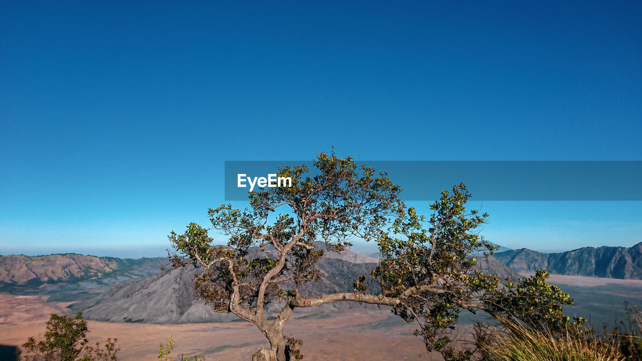 Scenic view of landscape against clear blue sky