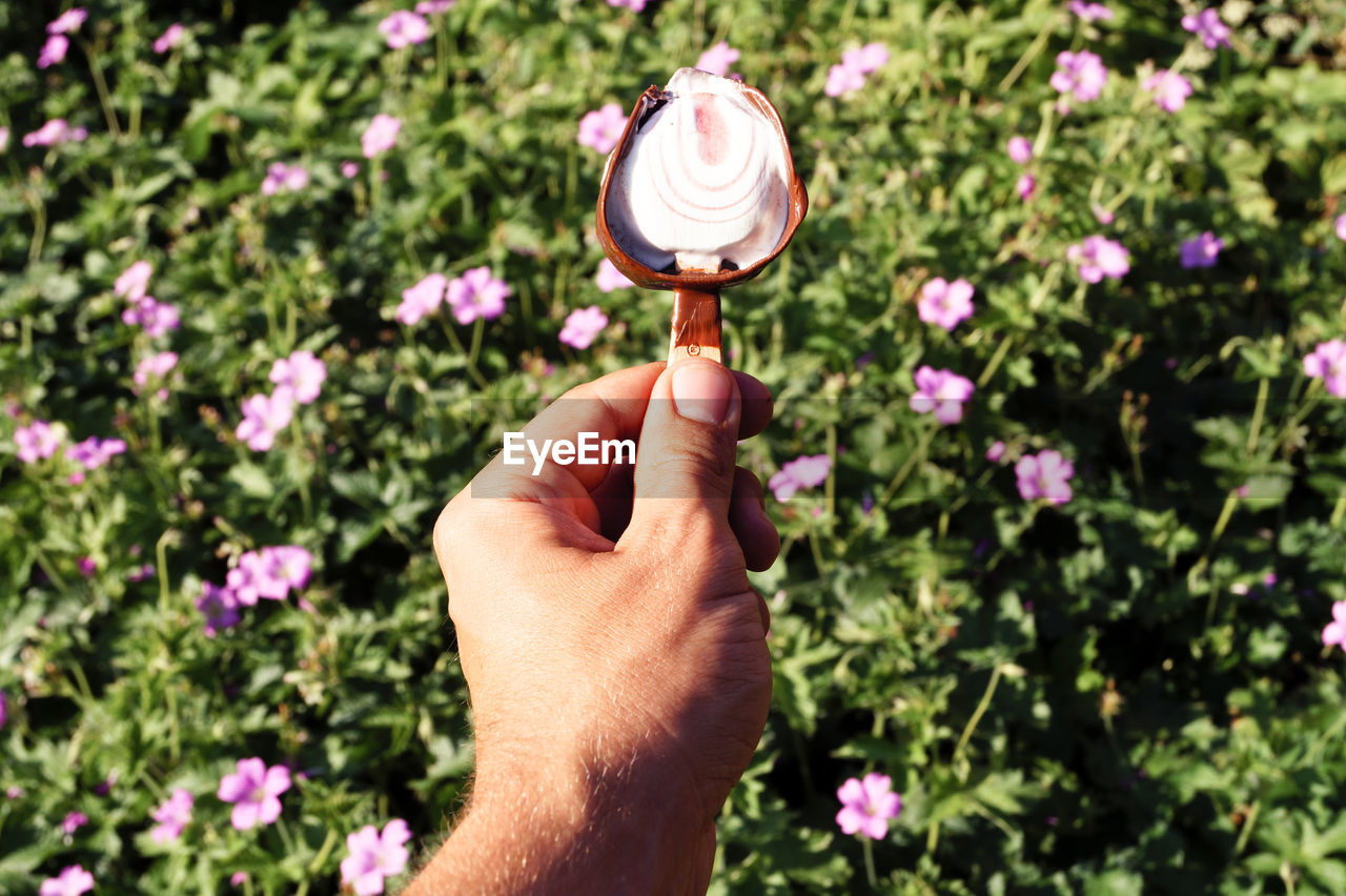 Cropped image man holding ice cream against pink flowers