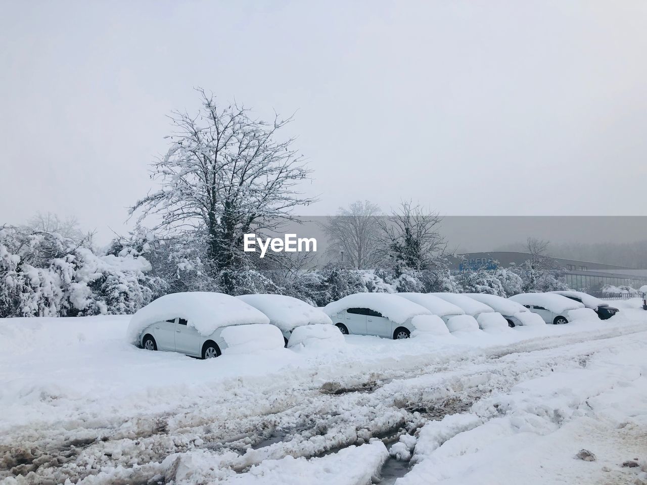 Extreme weather conditions - cars covered in snow during winter