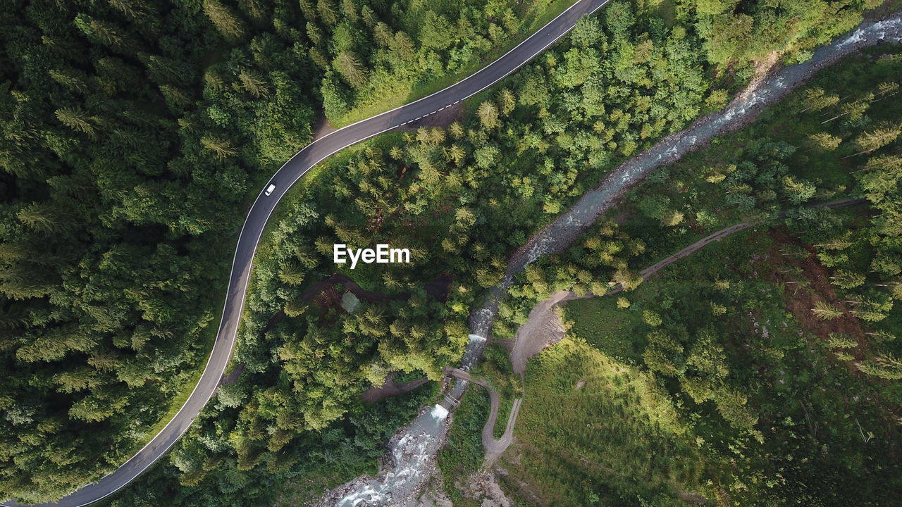 Aerial view of road amidst forest