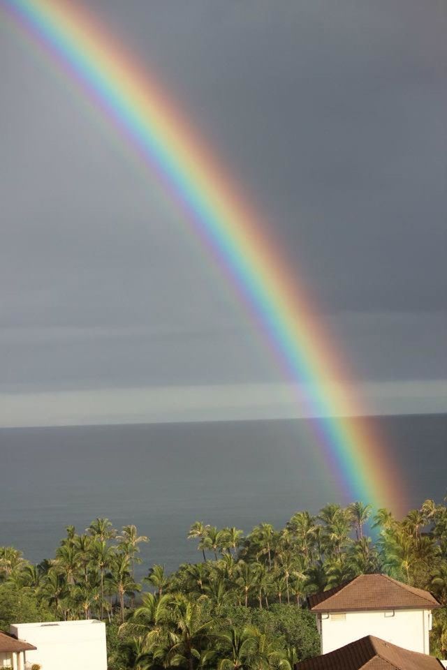 SCENIC VIEW OF RAINBOW OVER TREES
