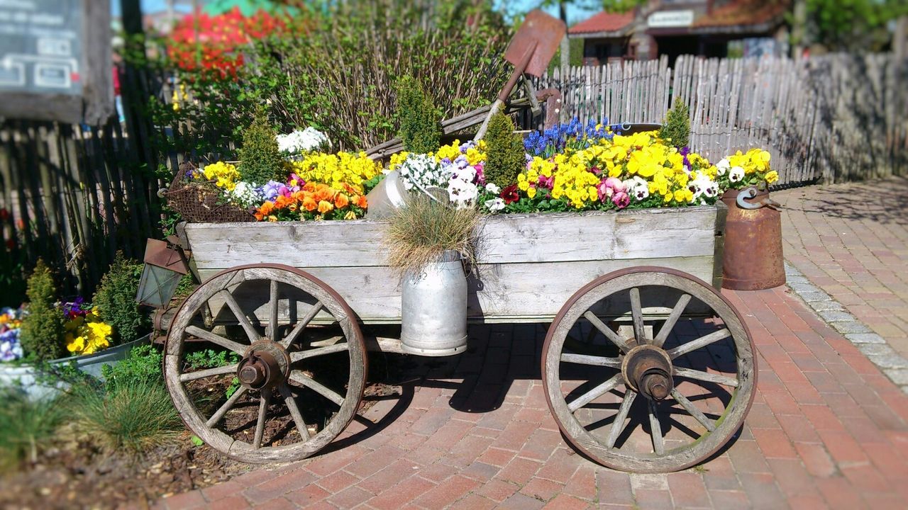 View of flowers in cart