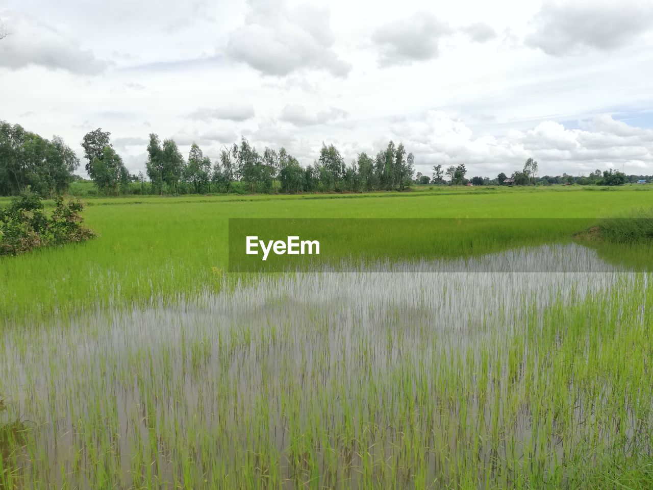 SCENIC VIEW OF LAND AGAINST SKY