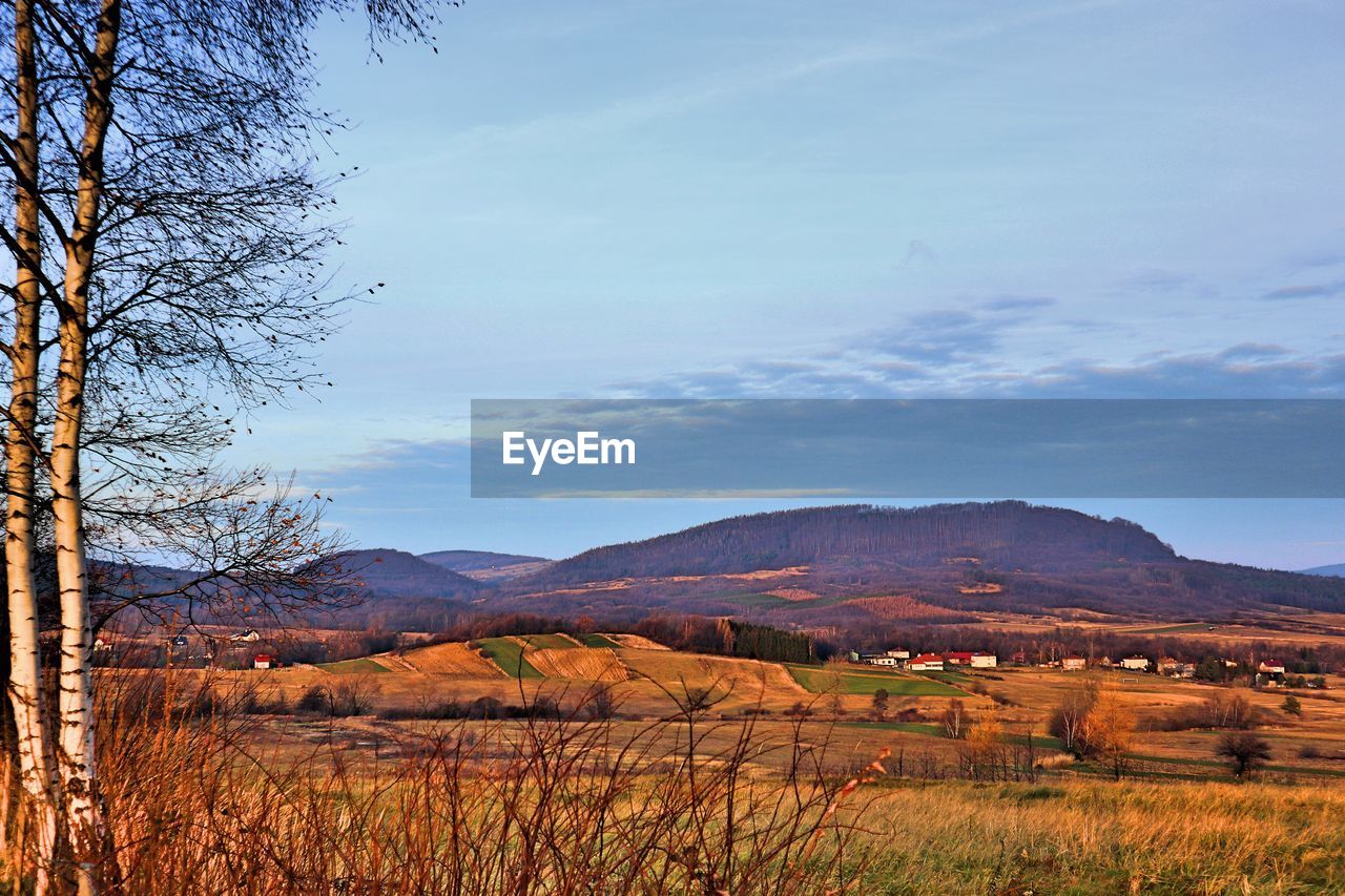 Scenic view of field against sky