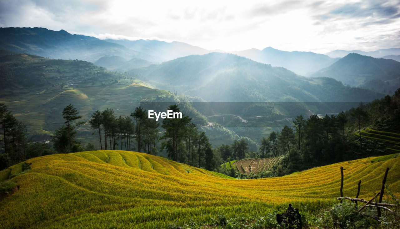 Scenic view of agricultural landscape against sky