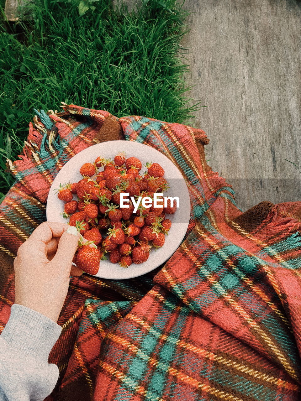 High angle view of hand holding fruit strawberry berry 