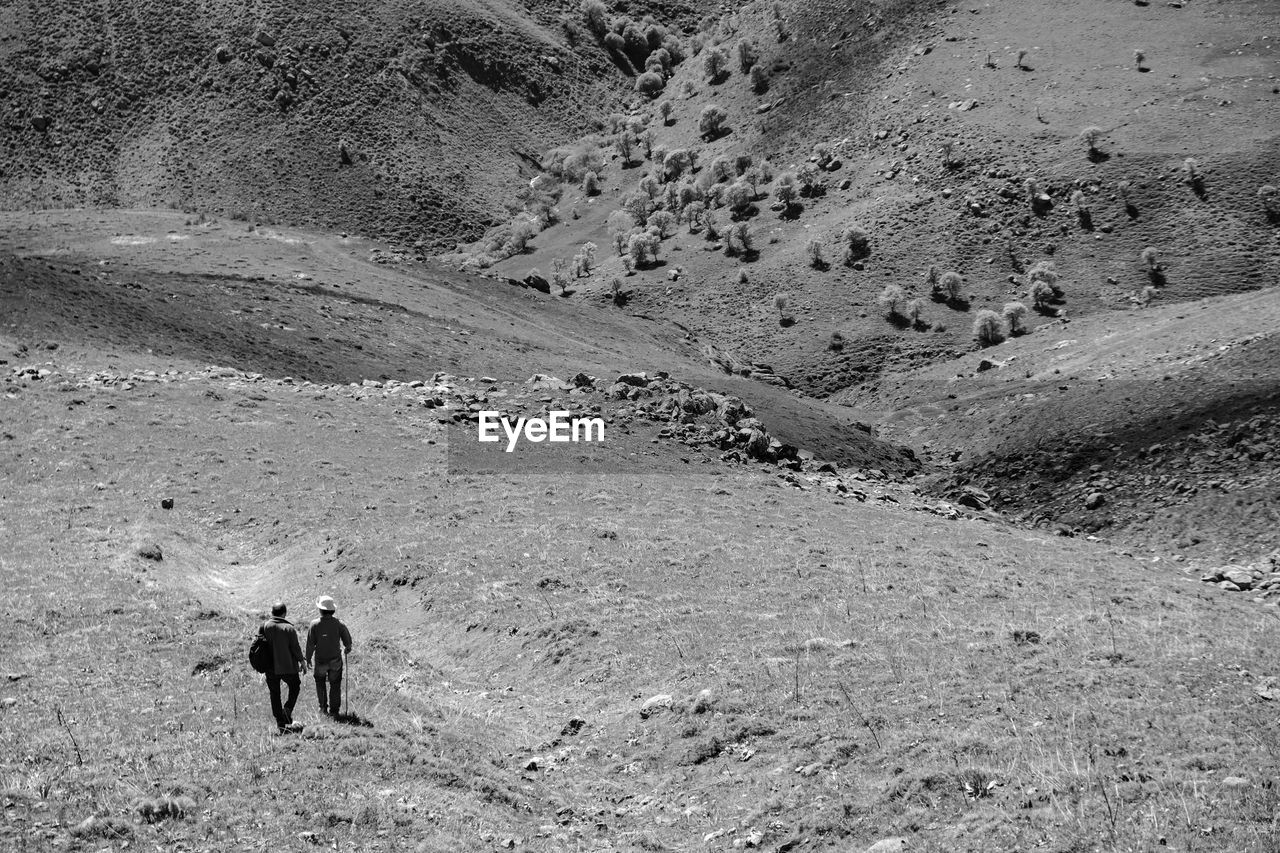 Rear view of men walking on land