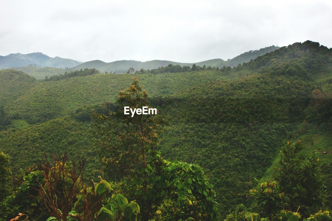 Green mountains against clear sky