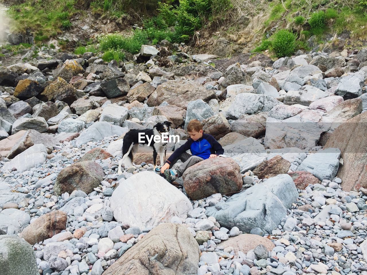 Boy with dog sitting on rocks