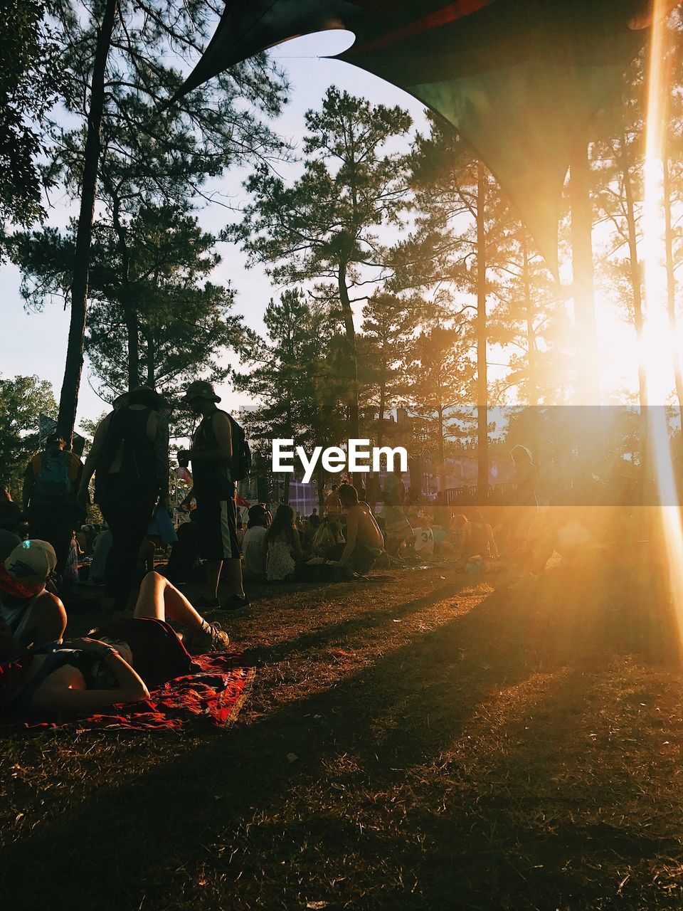 People resting on field by trees during sunset