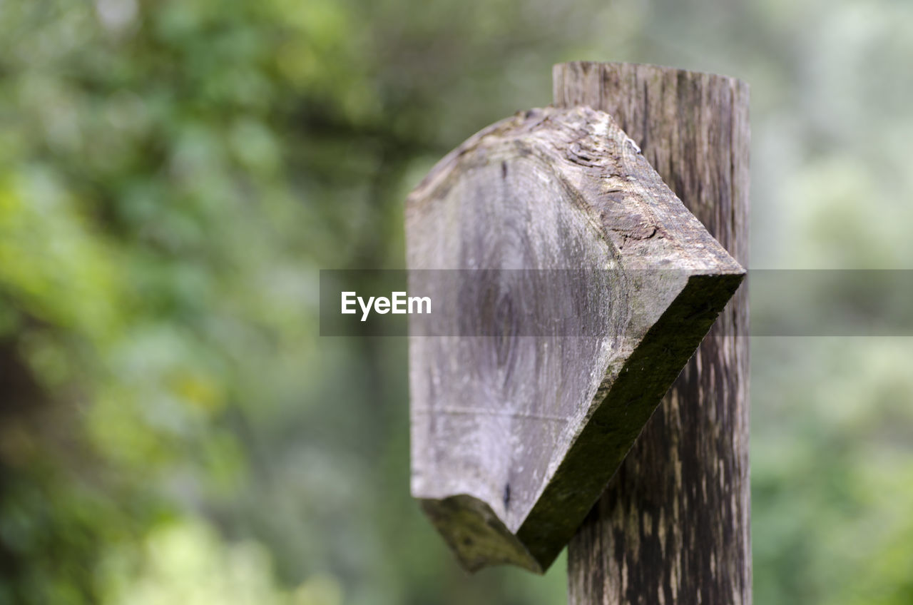 Close-up of wooden post