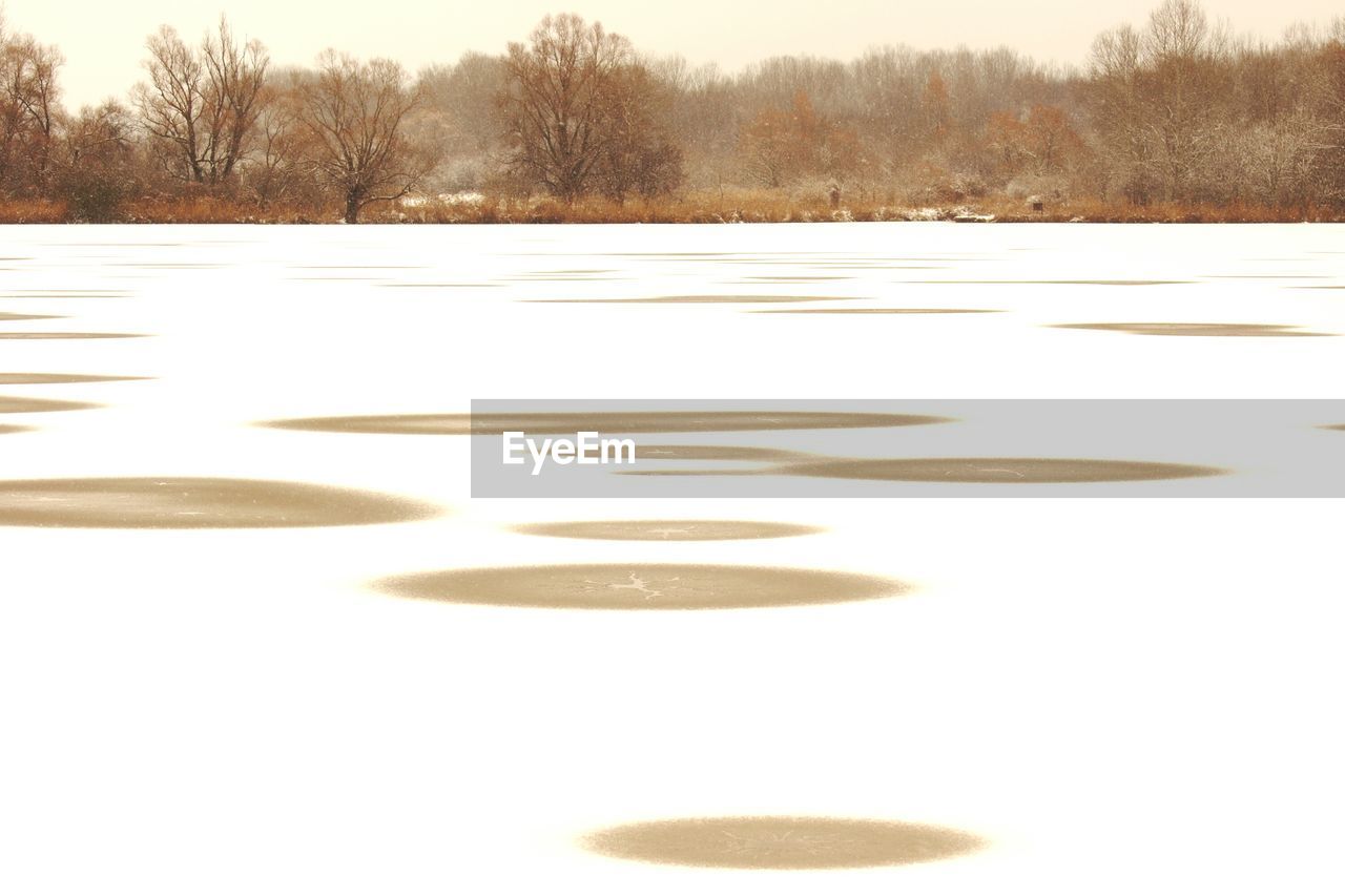 SCENIC VIEW OF BARE TREES IN WINTER