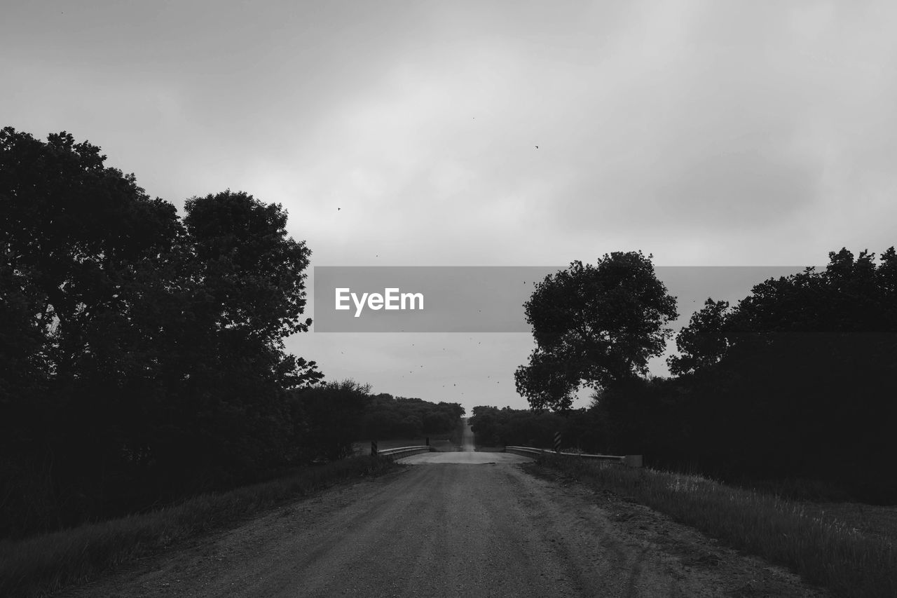 TREES BY ROAD AGAINST SKY