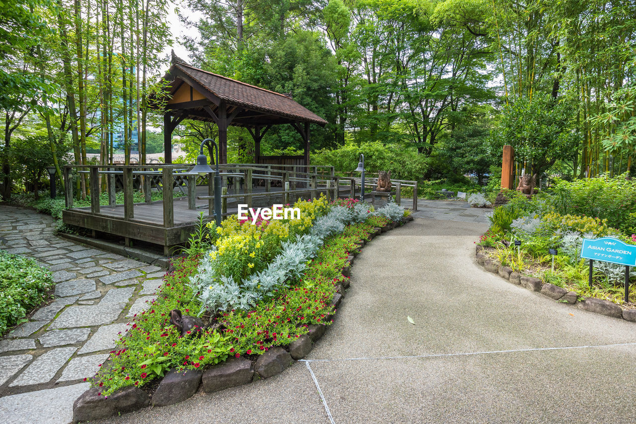 Flowering plants against trees