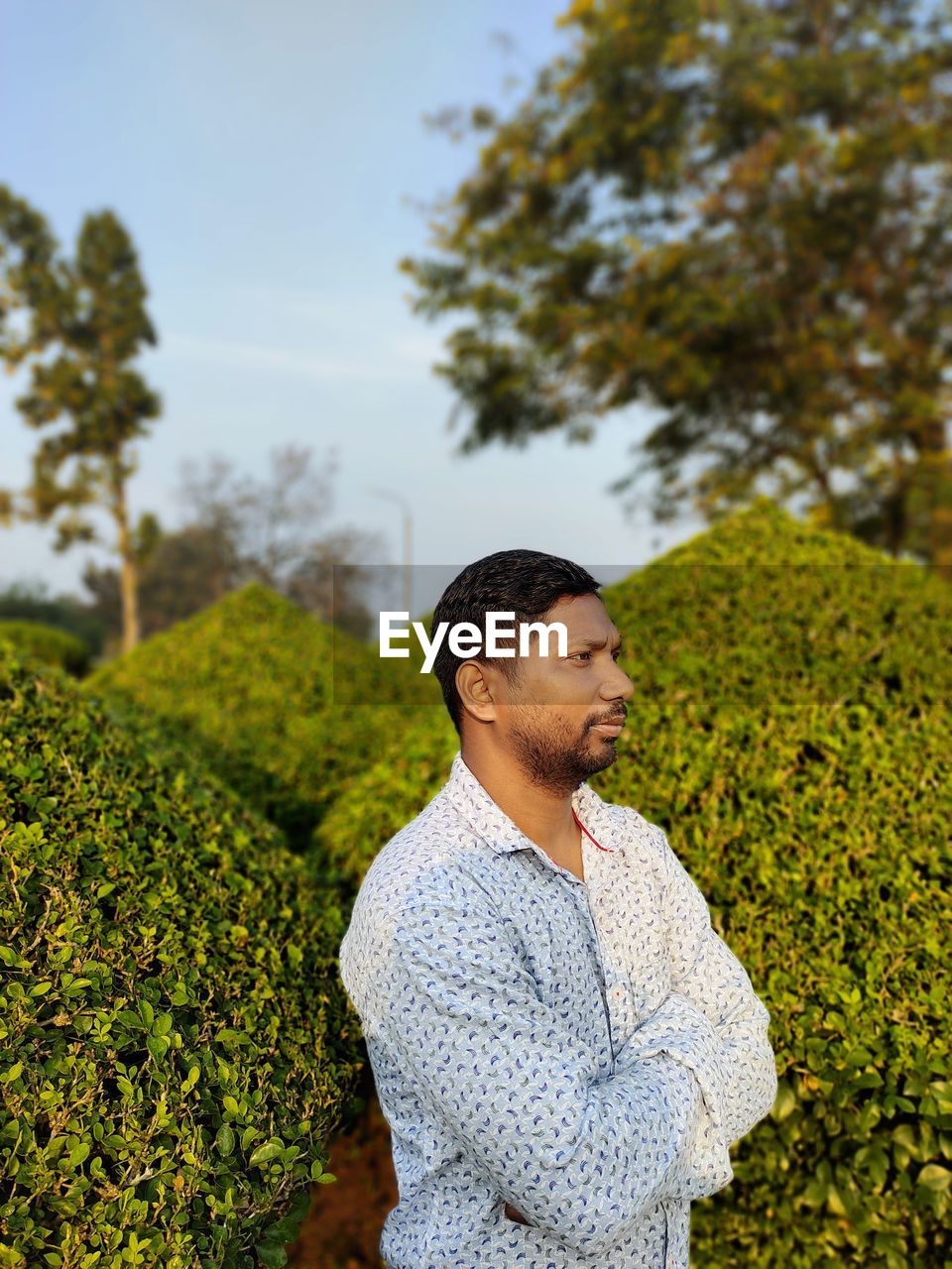 Young man looking away on tree
