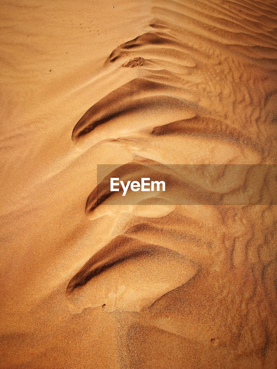 Full frame shot of sand dunes at beach