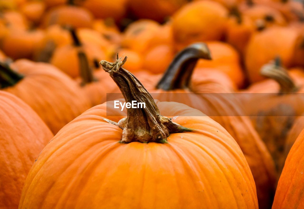 Full frame shot of pumpkins for sale in market