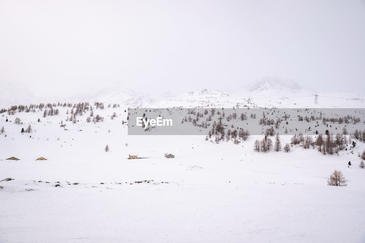 Trees on snow covered land against sky