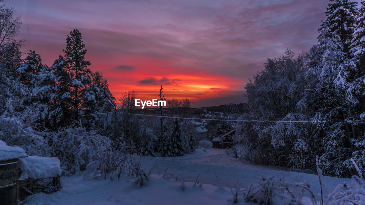 SCENIC VIEW OF SNOW COVERED LANDSCAPE AGAINST SKY AT SUNSET