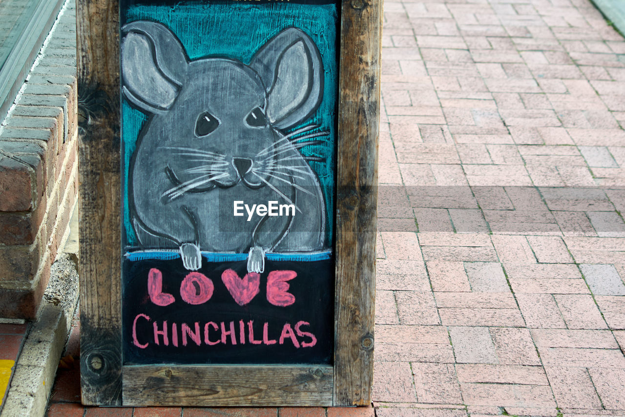 text, communication, art, western script, no people, day, representation, sign, street, creativity, street art, architecture, urban area, road, cartoon, animal representation, cat, footpath, city, graffiti, outdoors, animal, human representation