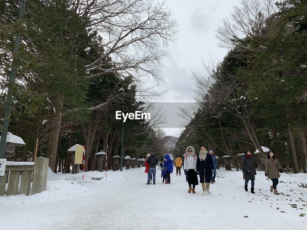 PEOPLE WALKING ON SNOW COVERED TREES