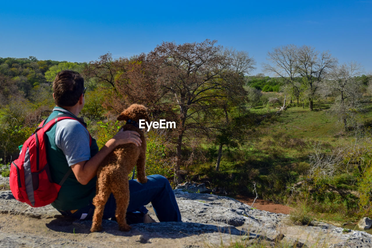 Rear view of man sitting with dog against trees