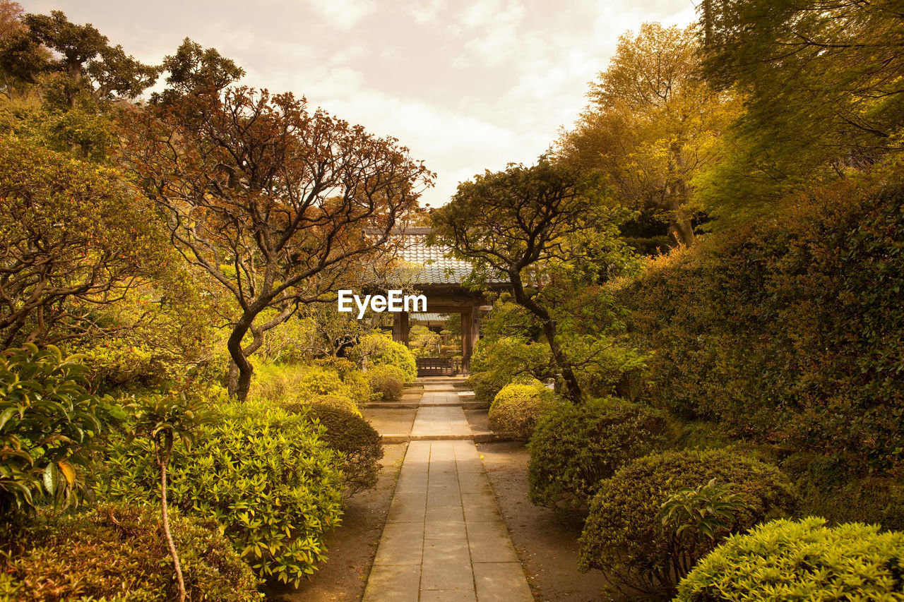 Garden at kenchoji temple, kamakura, kanagawa prefecture, greater tokyo area, japan