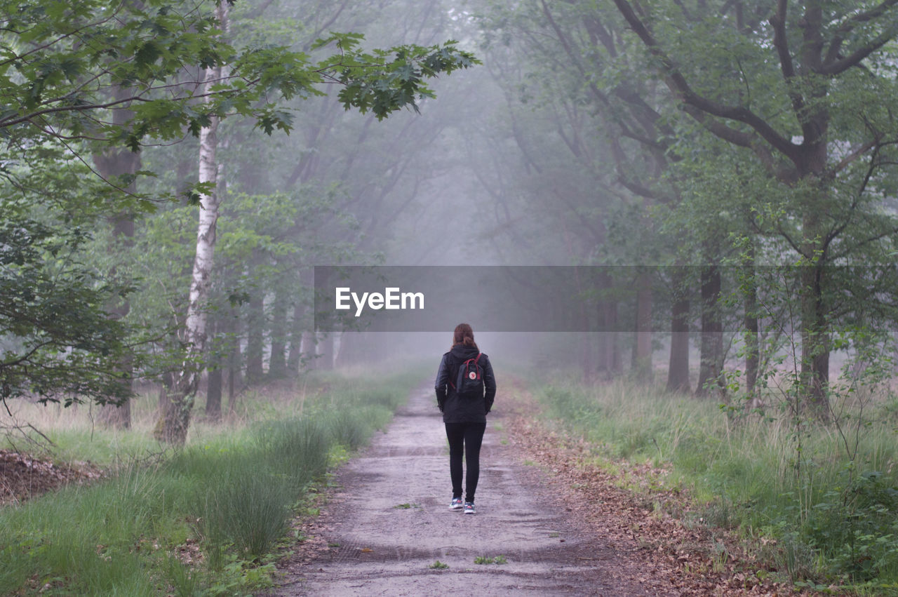 Rear view of backpack woman walking on road amidst trees on field in foggy weather