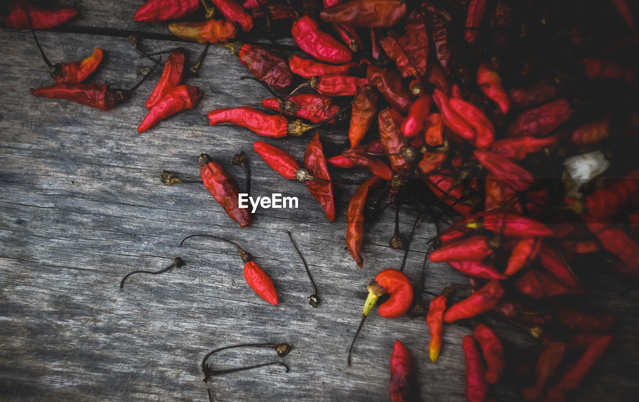 Close-up of red chili pepper on table