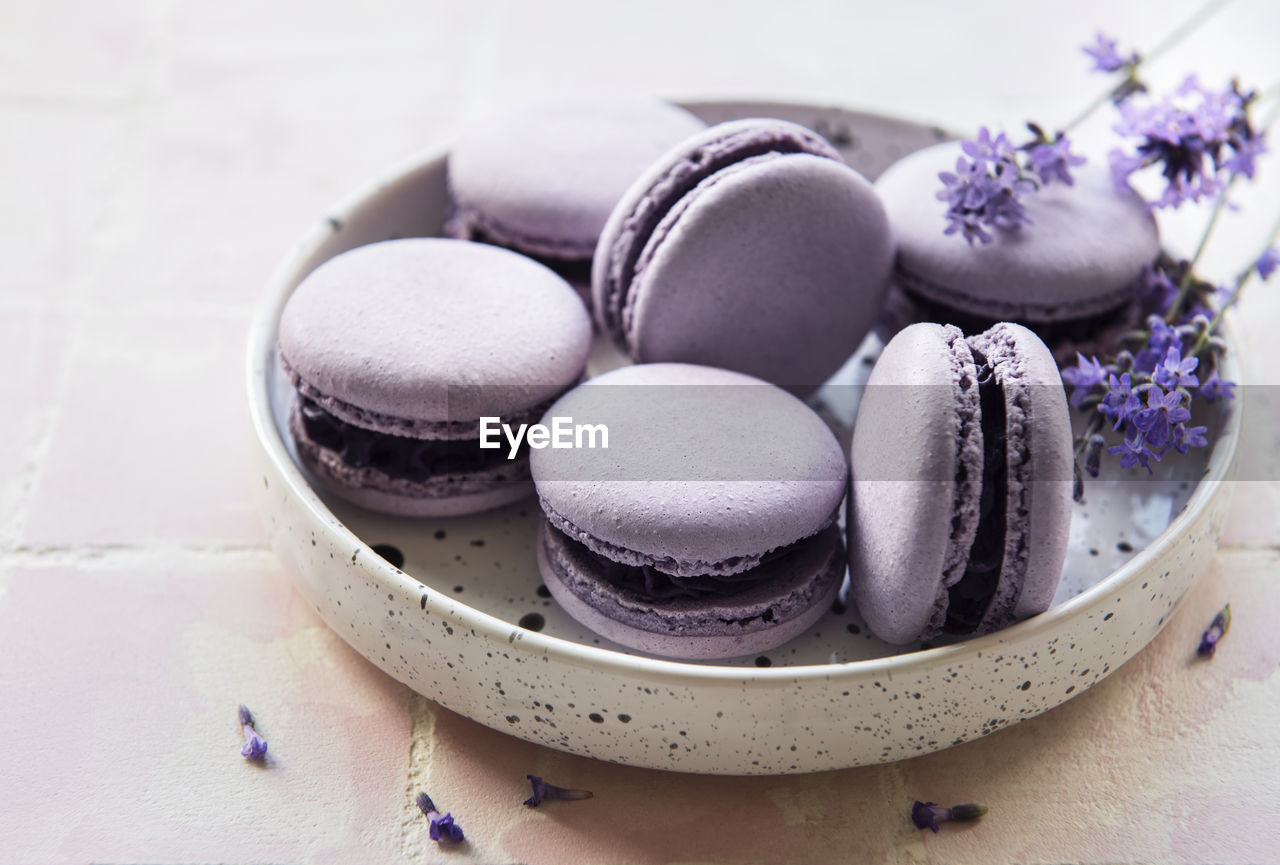 French macarons with lavender flavor and fresh lavender flowers on a tile background