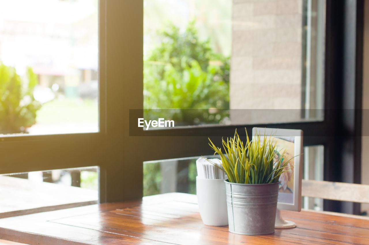 POTTED PLANT ON TABLE BY WINDOW