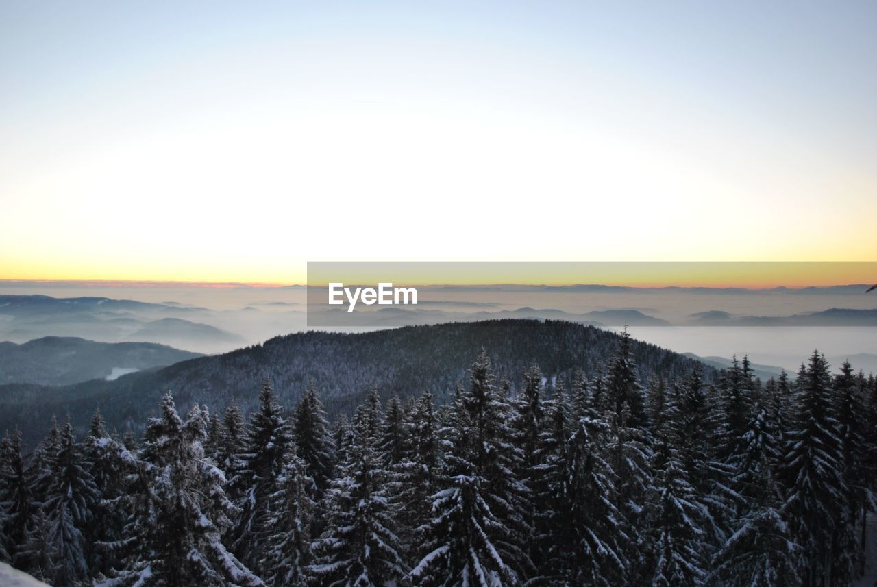 High angle view of frozen trees on mountain during winter